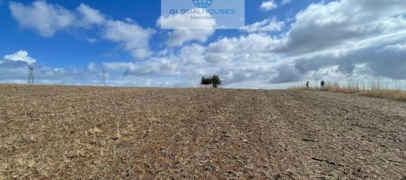 1-Zimmer Grundstück in Anguillara Sabazia, Italy, Nr. 24222 5