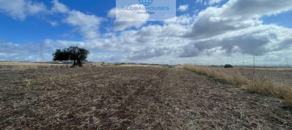 1-Zimmer Grundstück in Anguillara Sabazia, Italy, Nr. 24222 4