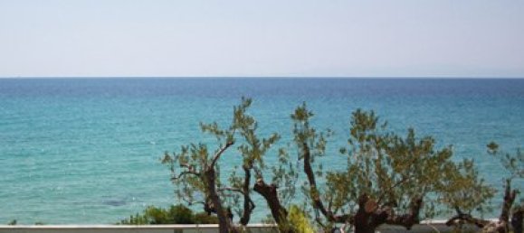 3 bedrooms Property in Chalkidiki, Greece No. 8137 14