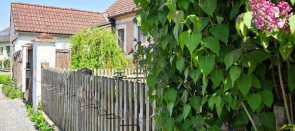 4غرفة منزل في Raabs an der Thaya, Austria رقم 246324 17