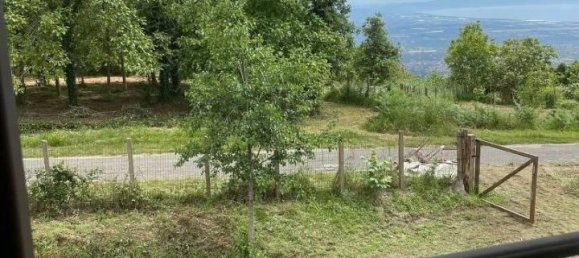 3-Zimmer Haus in Platania, Italy, Nr. 21616 13