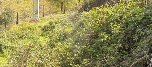 2 Schlafzimmer Haus in Fafe, Portugal, Nr. 165940 6