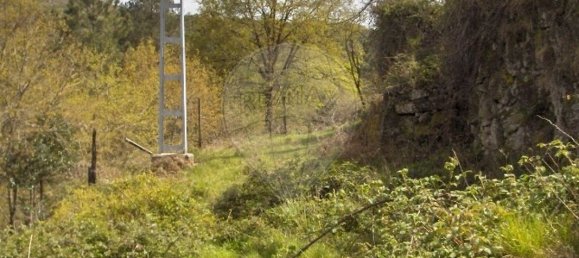 2 Schlafzimmer Haus in Fafe, Portugal, Nr. 165940 7