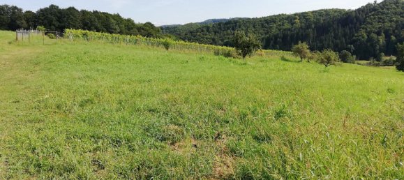 Terrain à Gamlitz, Austria 1032m² No. 81259 4