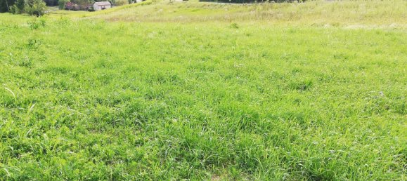 Terrain à Gamlitz, Austria 1032m² No. 81259 2