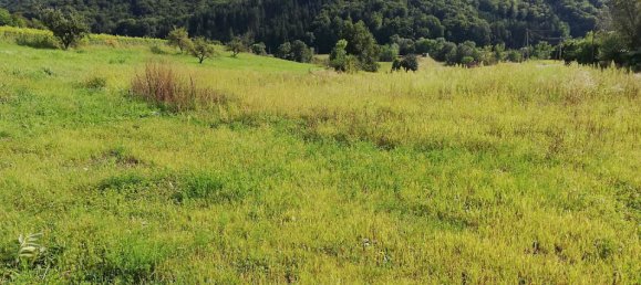 Terrain à Gamlitz, Austria 1032m² No. 81259 5