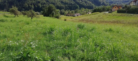 Terrain à Gamlitz, Austria 1032m² No. 81259 10