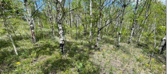 Hotel in Boulder, USA 3.44m², Nr. 269 7