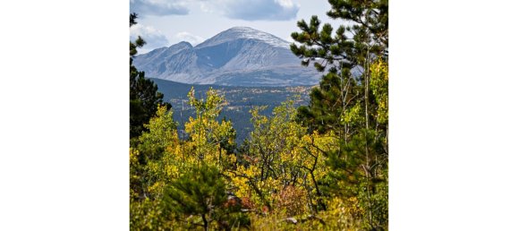 Hotel in Boulder, USA 3.44m², Nr. 269 2