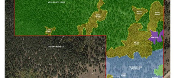 Hotel in Boulder, USA 3.44m², Nr. 269 8