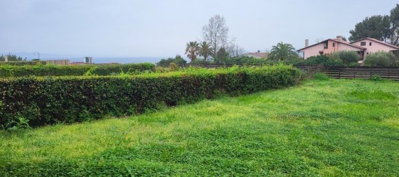 3 chambres Propriété commerciale à Chalkidiki, Greece No. 53476 18