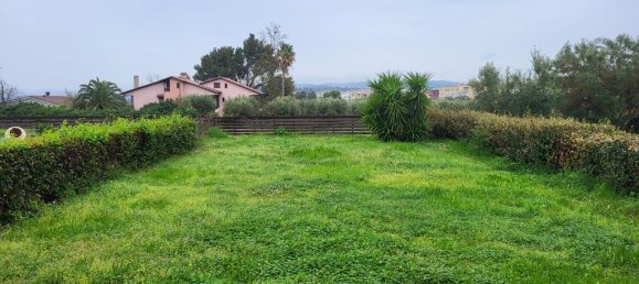 3 chambres Propriété commerciale à Chalkidiki, Greece No. 53476 19