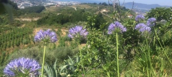 Villa de 6 habitaciónes en Massa, Italy No. 79063 7