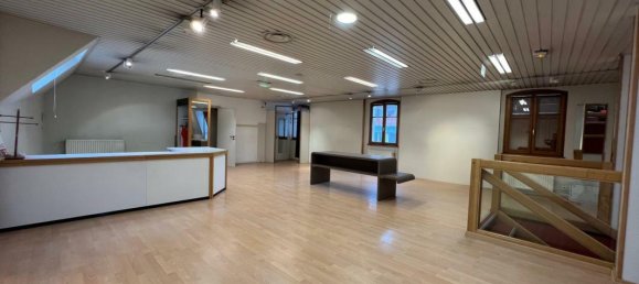 Здание 1200м² в Альткирш, Франция № 344691 8