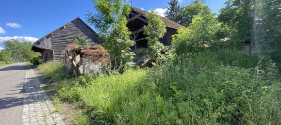 4 chambres Maison à Oltingue, France No. 269870 10