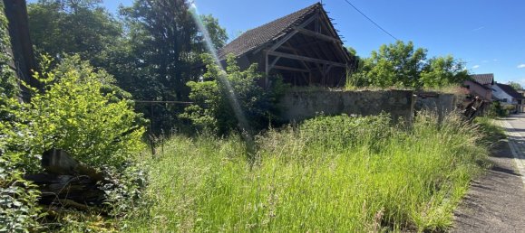 4 chambres Maison à Oltingue, France No. 269870 3