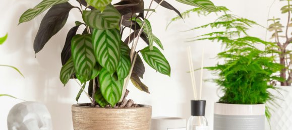 Квартира с 3 спальнями в Валенсия, Испания № 144756 4