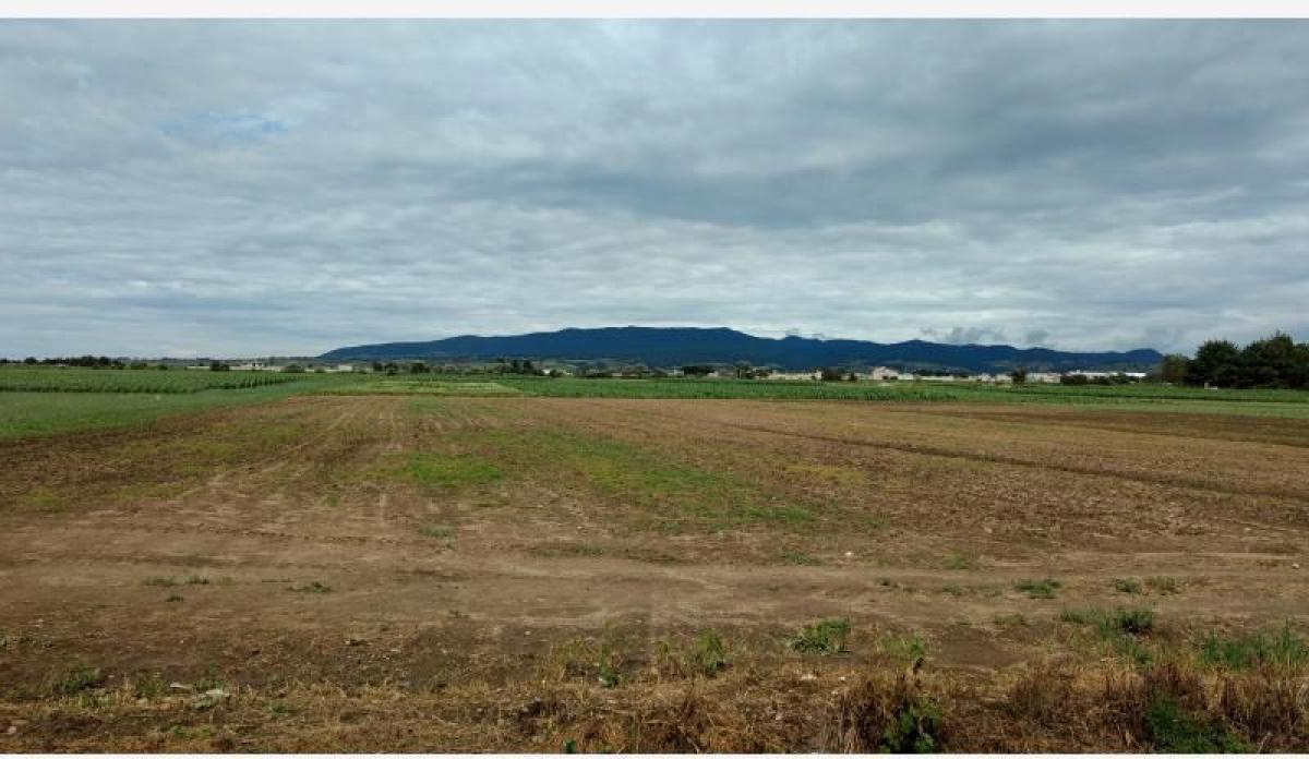 Terrain à Zinacantepec, Mexico No. 205347