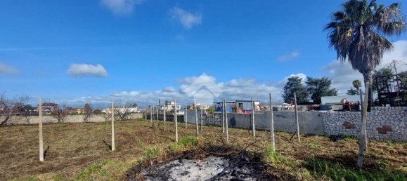 Terrain à Marano di Napoli, Italy 1200m² No. 377675 19