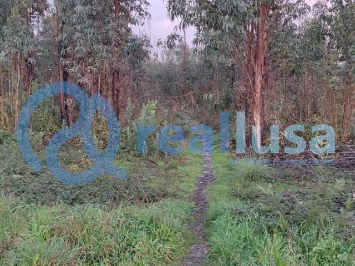  Land in Aveiro, Portugal No. 1993