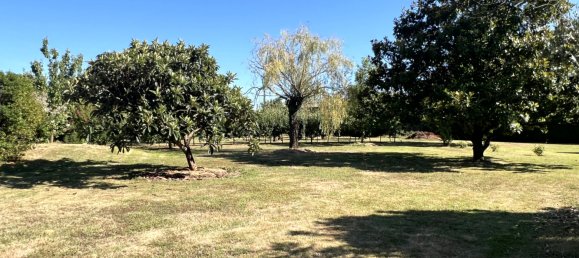 4 غرف نوم منزل في Meilhan-sur-Garonne, France رقم 343013 5