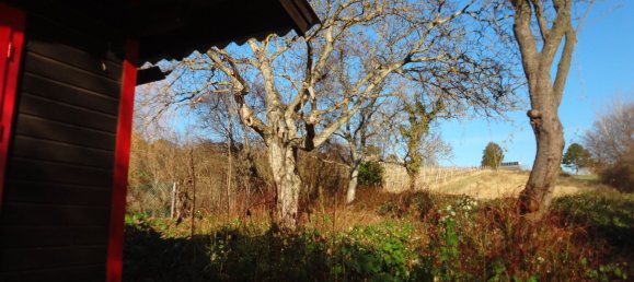 Terreno en Dobling, Austria No. 134167 9