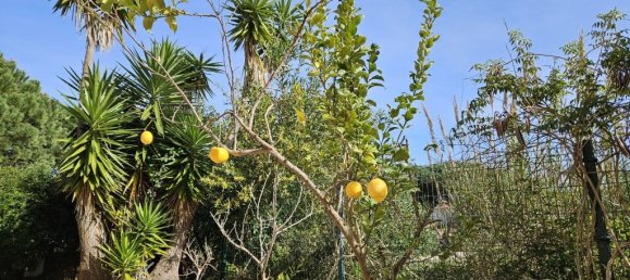 3 Schlafzimmer Haus in Obidos, Portugal, Nr. 105453 33