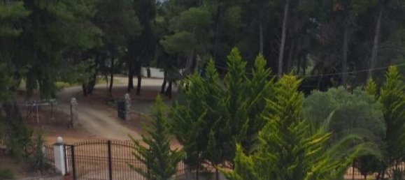 6 bedrooms Townhouse in Chalkidiki, Greece No. 2244 10