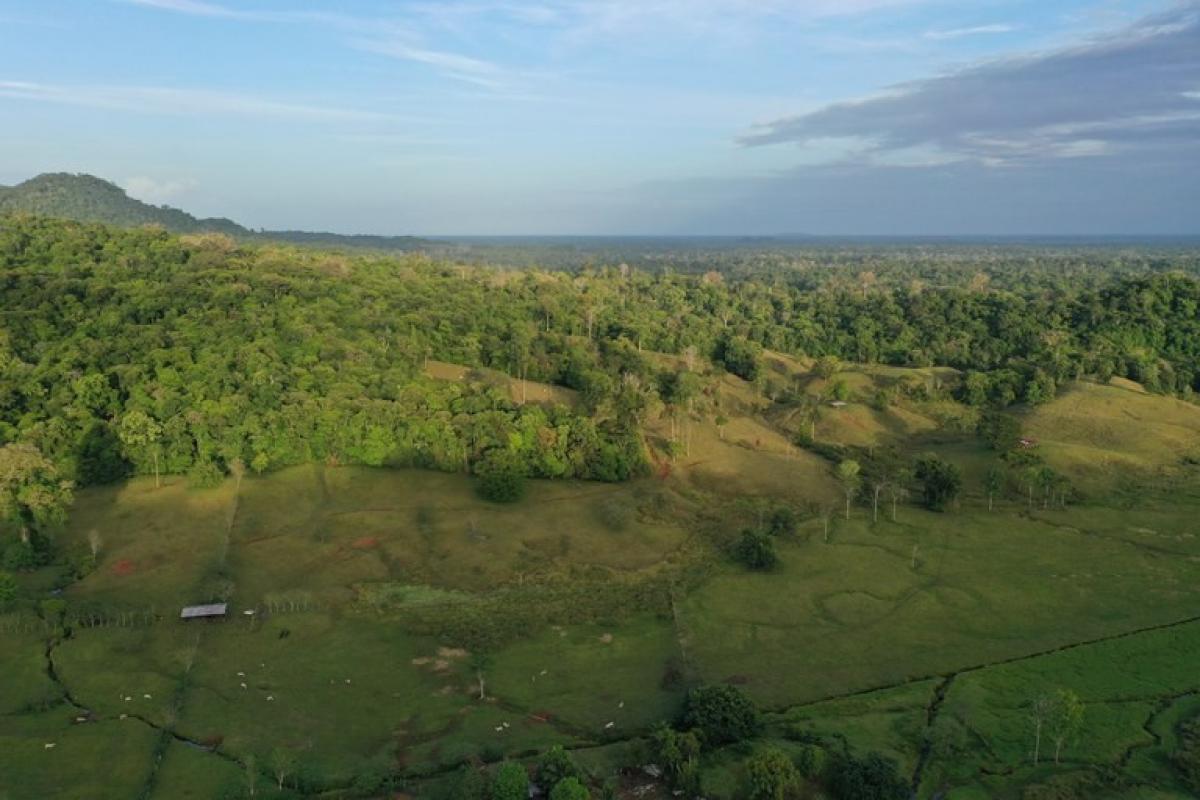 Land for sale in Puerto Viejo, Sarapiqui, Heredia, Costa Rica № 1827