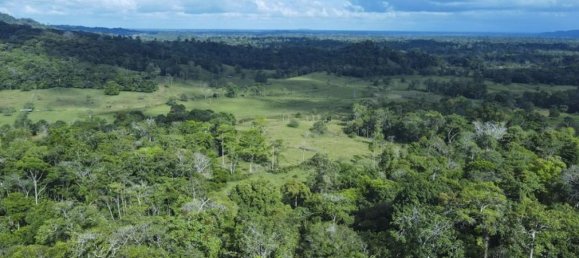 Land for sale in Puerto Viejo, Sarapiqui, Heredia, Costa Rica № 1827 3