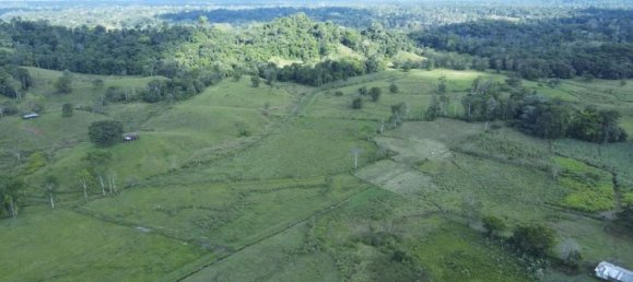 Land for sale in Puerto Viejo, Sarapiqui, Heredia, Costa Rica № 1827 2