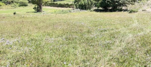 Земельный участок в Сан-Рафаэль, Коста-Рика № 1540 2