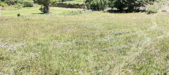 Земельный участок в Сан-Рафаэль, Коста-Рика № 1540 3