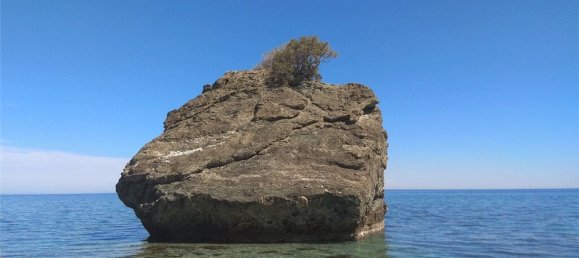10313m² Hotel for sale in Larissa, Thessaly, Thessaly and Central Greece, Greece № 4865 4