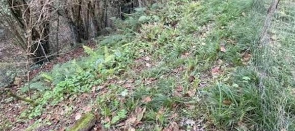 6 rooms House in Massa, Italy No. 303823 22