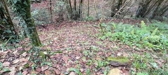 6 rooms House in Massa, Italy No. 303823 23