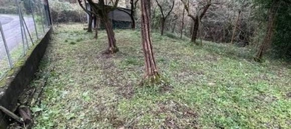 6 rooms House in Massa, Italy No. 303823 21