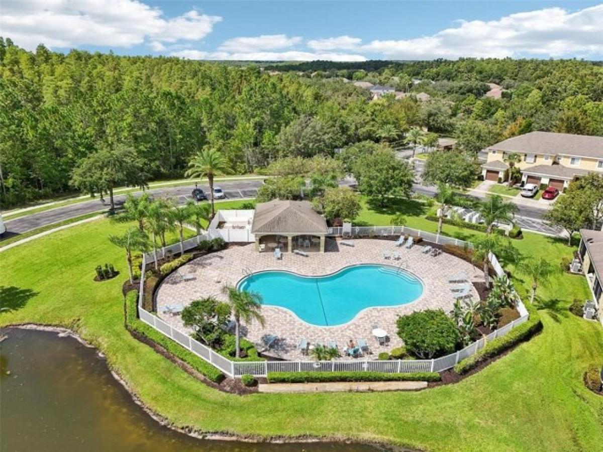 2 chambres Maison à Tampa, USA No. 440005