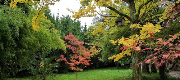 4 bedrooms Villa in Sarzana, Italy No. 251768 7