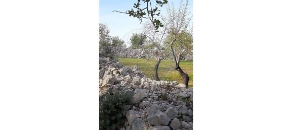 Terreno em Loulé, Portugal 5560 m² N.º 32840 8