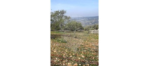 Terreno em Loulé, Portugal 5560 m² N.º 32840 10