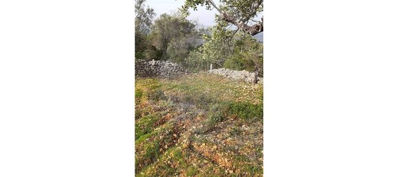 Terreno em Loulé, Portugal 5560 m² N.º 32840 11