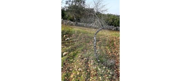 Terreno em Loulé, Portugal 5560 m² N.º 32840 7