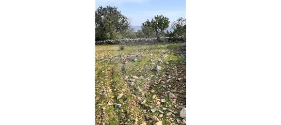 Terreno em Loulé, Portugal 5560 m² N.º 32840 12