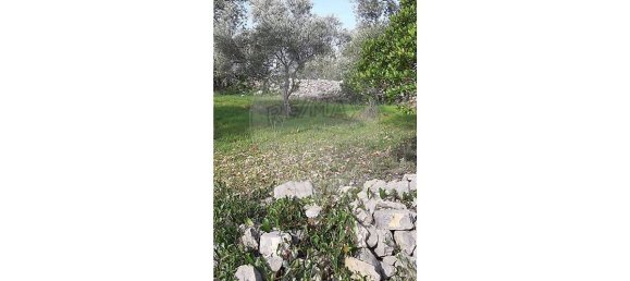 Terreno em Loulé, Portugal 5560 m² N.º 32840 9