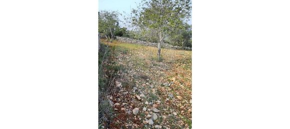 Terreno em Loulé, Portugal 5560 m² N.º 32840 18