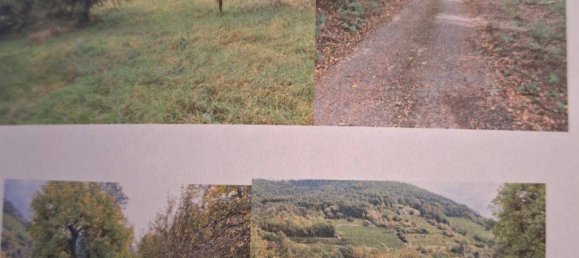 4 rooms House in Muhldorf, Austria No. 233989 5