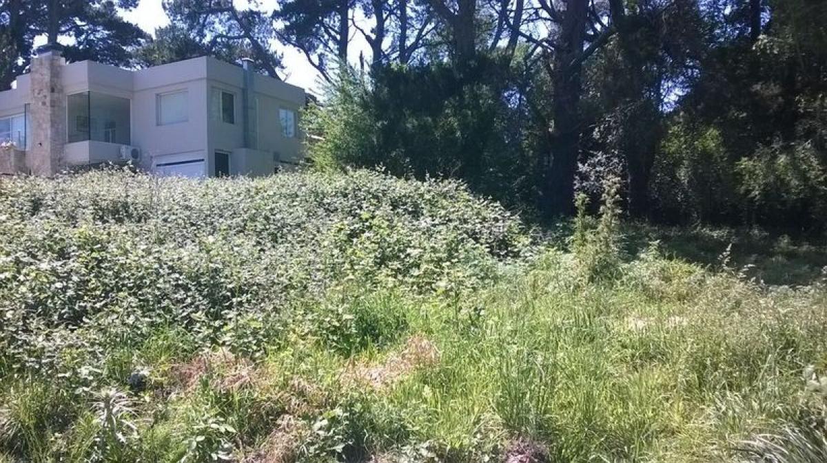 Terrain à General Pueyrredon, Argentina No. 43049