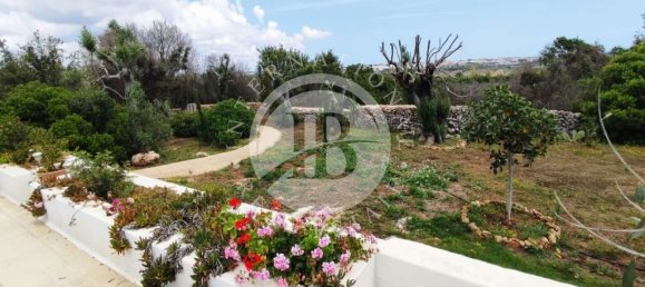 2 bedrooms Villa in Castrignano del Capo, Italy No. 155859 22