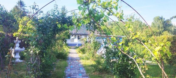 Bungalow de 3 habitaciónes en Bruck an der Leitha, Austria No. 197986 3